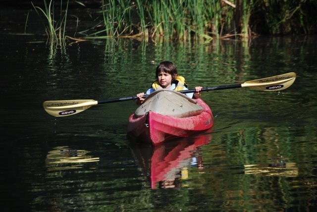  皮划艇中的儿童 